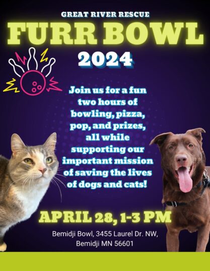 2024 Furr Bowl Poster