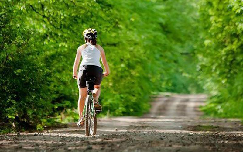 Bike_Chippewa_National_Forest Bike_Chippewa_National_Forest