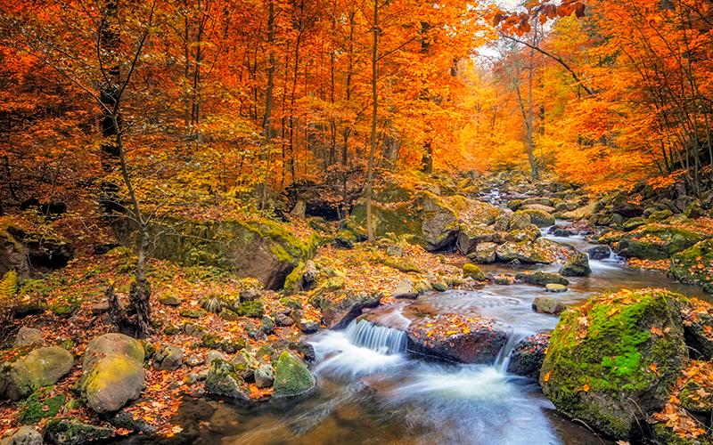 river and waterfalls in the fall