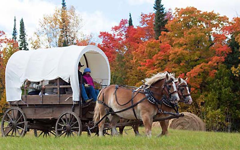 Fall_Covered_Wagon_Rides