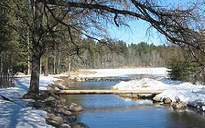 Itasca_State_Park-1 Itasca_State_Park-1
