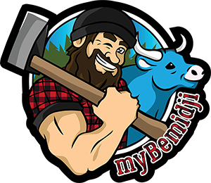 LOGO myBemidji