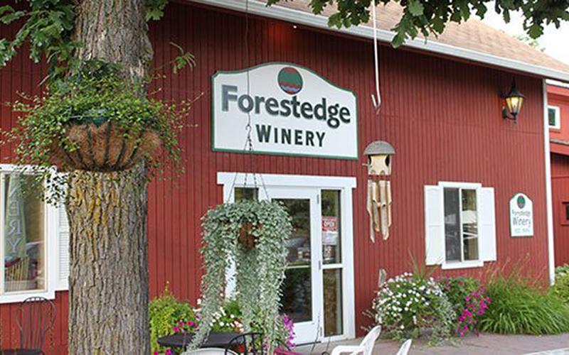 MN_East-West_Tour-Forest_Edge_Winery Forest Edge Winery