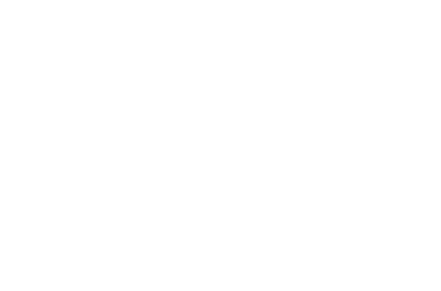 Visit-Bemidji-Tagline-White