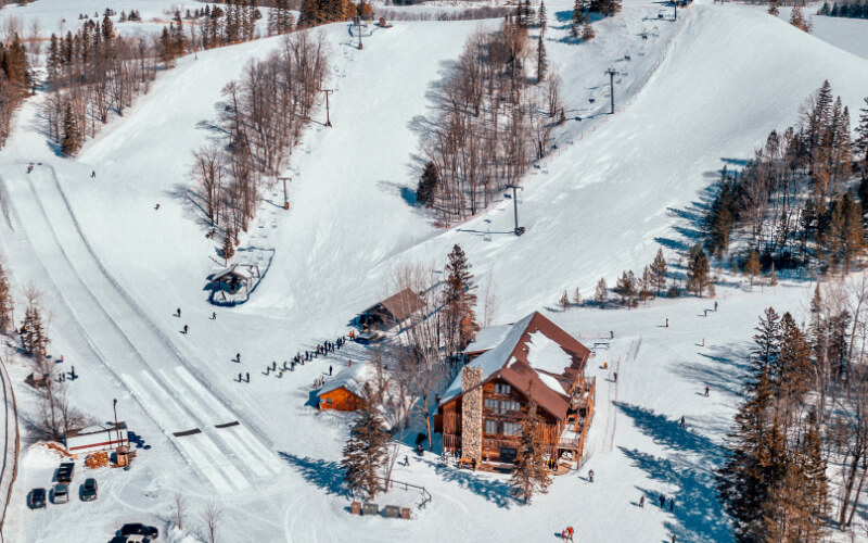 aerial shot of bunea vista