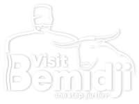 Visit Bemidji