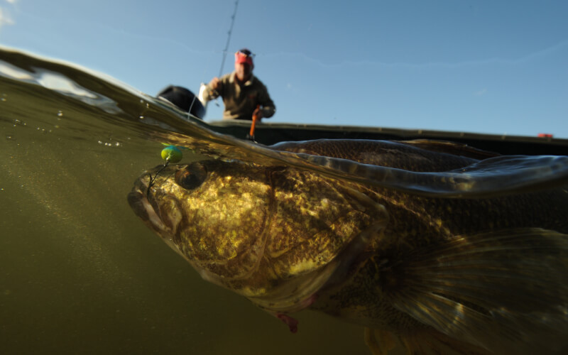 summer fishing